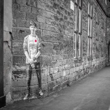 Lambs installation by Andy Mayers